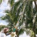 The Sanya EDITION Redefines Family Travel Experiences